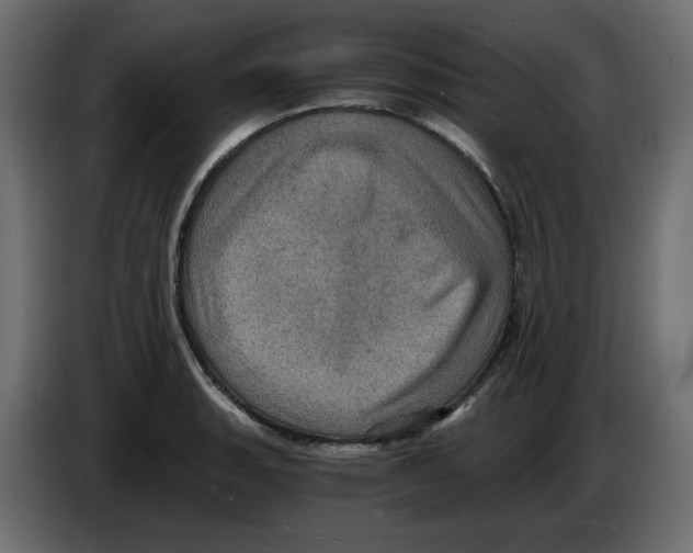 X0000084531135200703231647