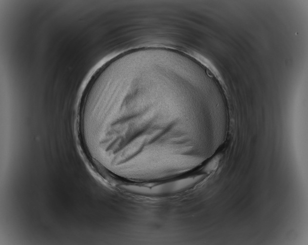 X0000084531136200703231647