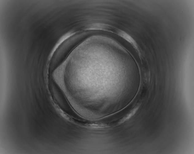 X0000084531138200703231647