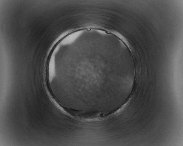 X0000084531142200703231647