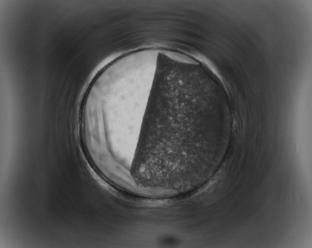 X0000084531143200703231647