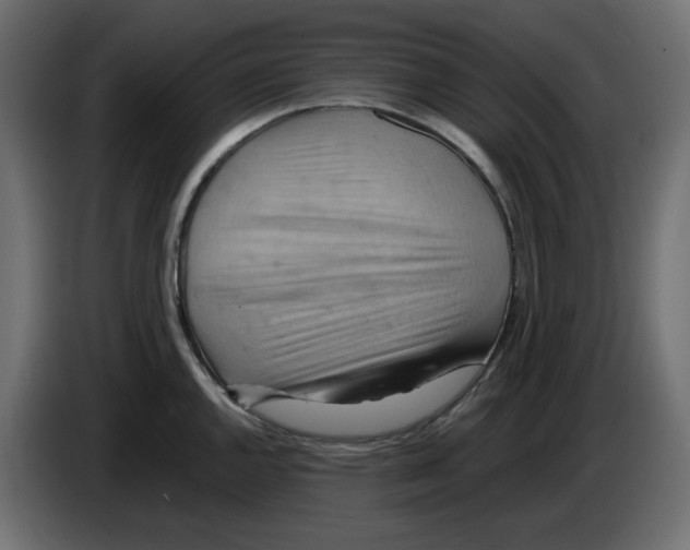 X0000084531144200703231647