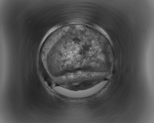 X0000084531146200703231647