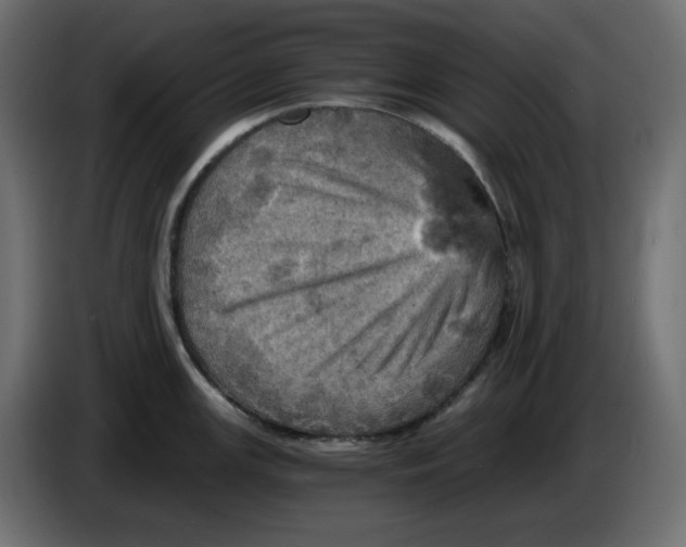 X0000084531147200703231647