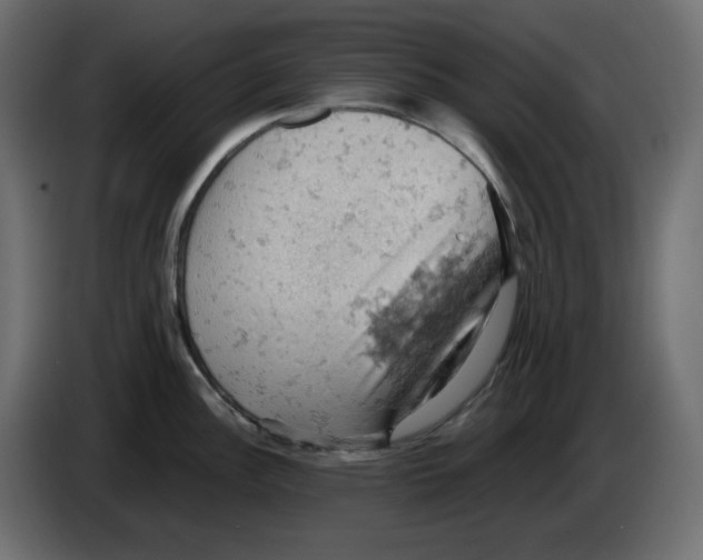 X0000084531148200703231647