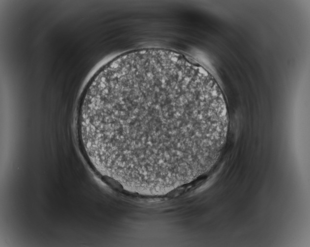 X0000084531149200703231647