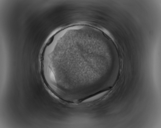 X0000084531151200703231647