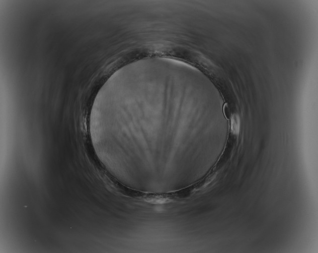 X0000084531155200703231646