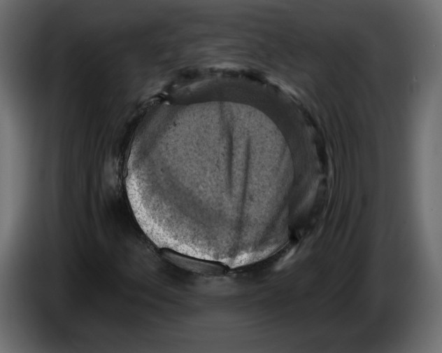 X0000084531156200703231646