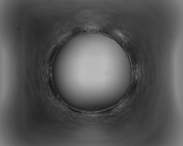 X0000084531157200703231646