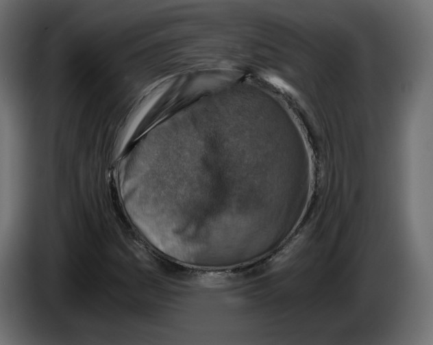 X0000084531161200703231646