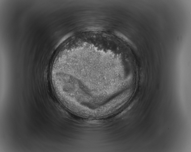 X0000084531162200703231646
