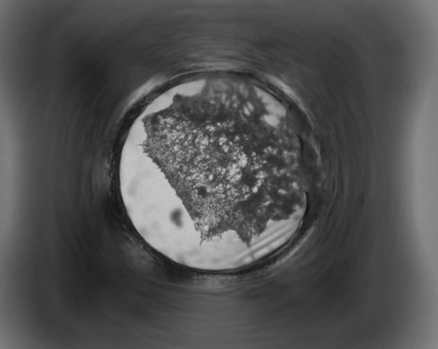 X0000084531163200703231646
