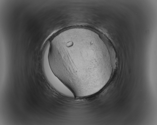 X0000084531165200703231646