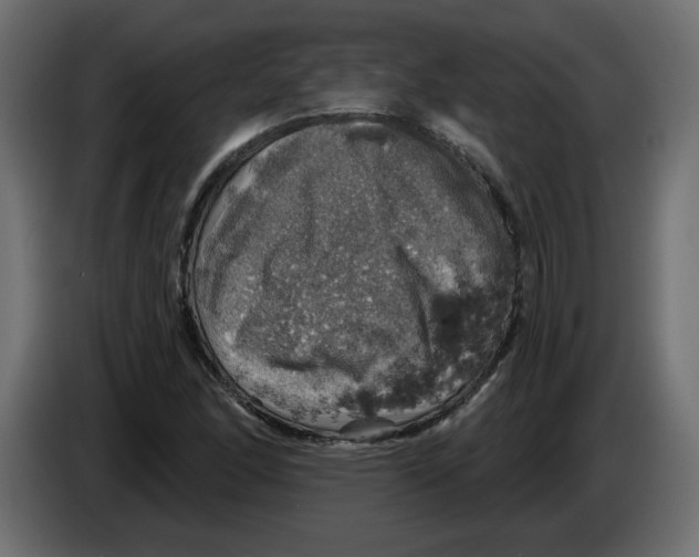 X0000084531166200703231646