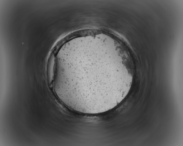 X0000084531168200703231646