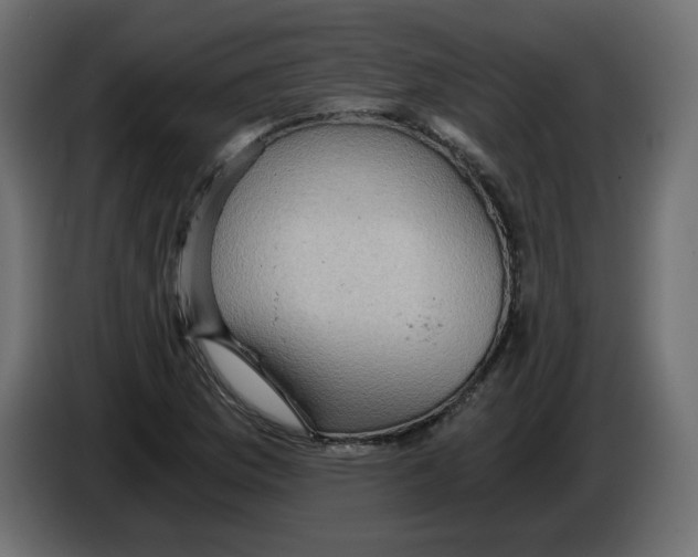 X0000084531169200703231646