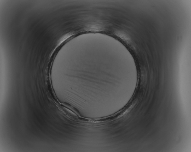 X0000084531170200703231646