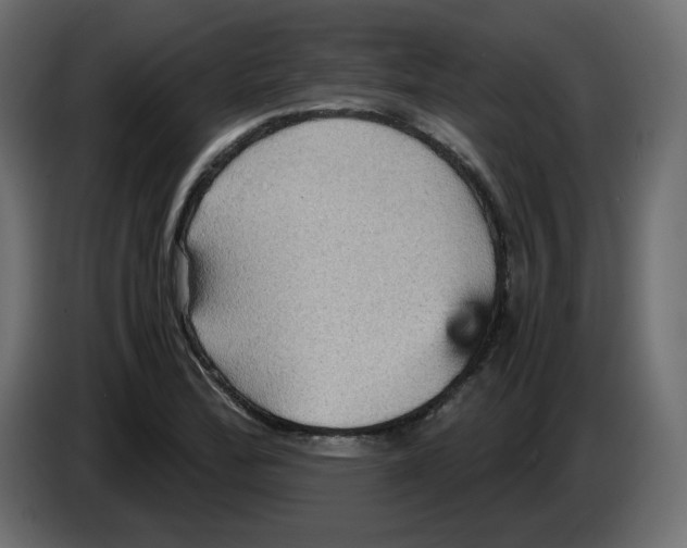 X0000084531172200703231646