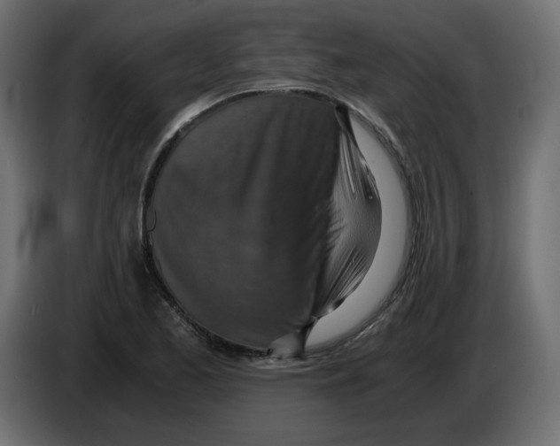 X0000084531173200703231646