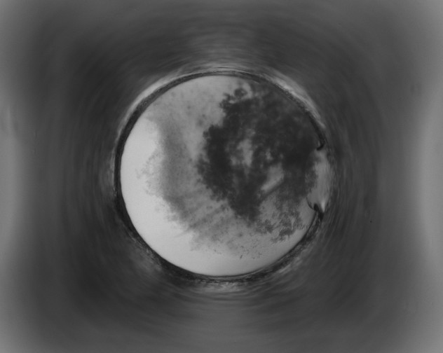 X0000084531174200703231646