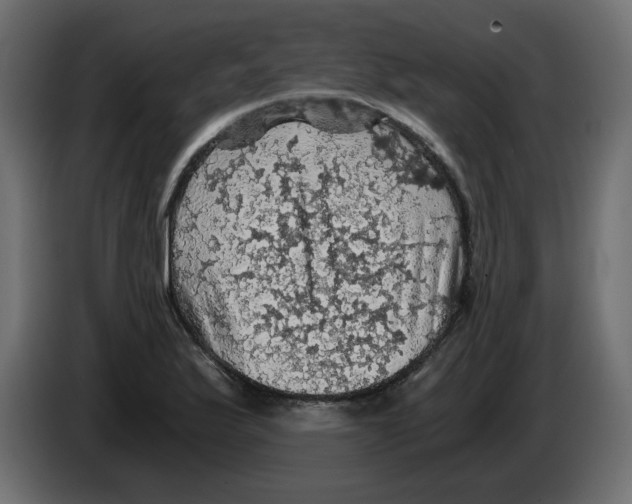 X0000084531175200703231646
