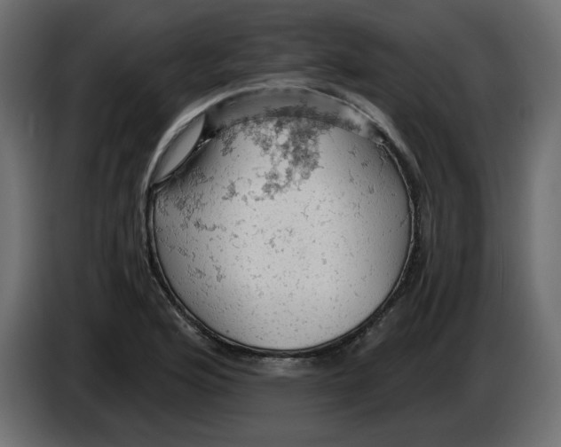 X0000084531176200703231646
