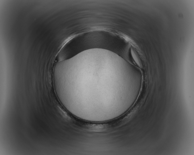 X0000084531177200703231646