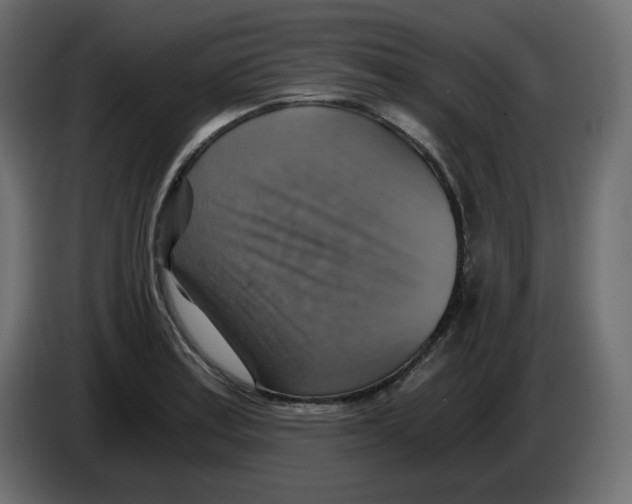 X0000084531179200703231646