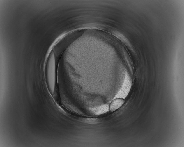 X0000084531180200703231646