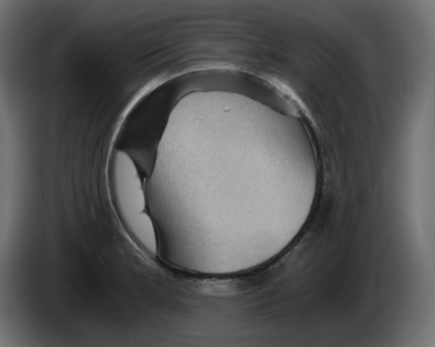 X0000084531181200703231646