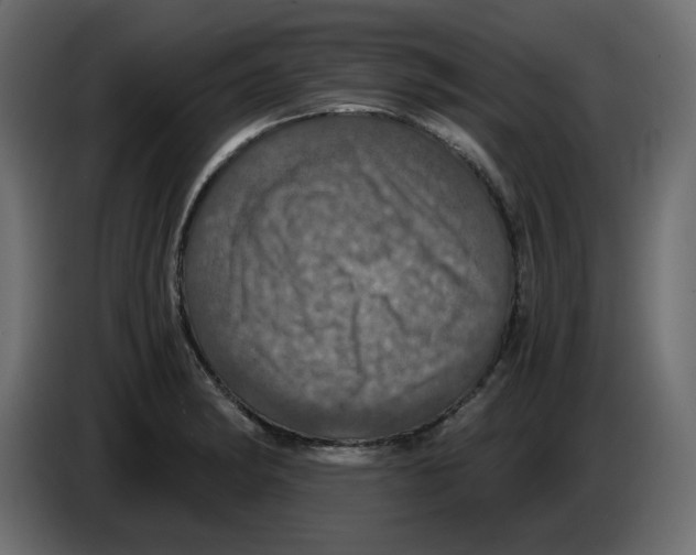 X0000084531182200703231646