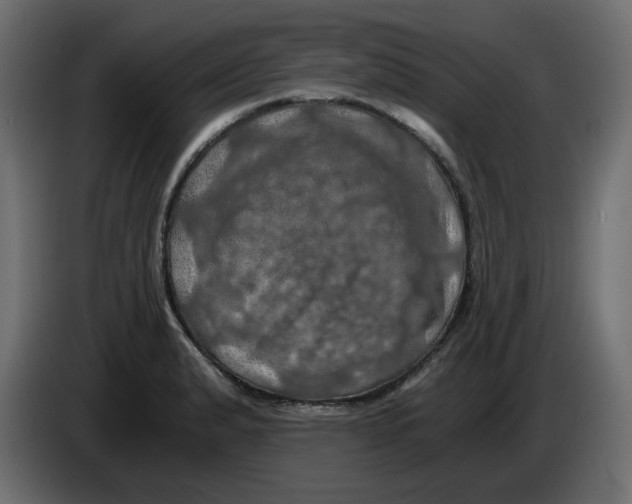 X0000084531183200703231646