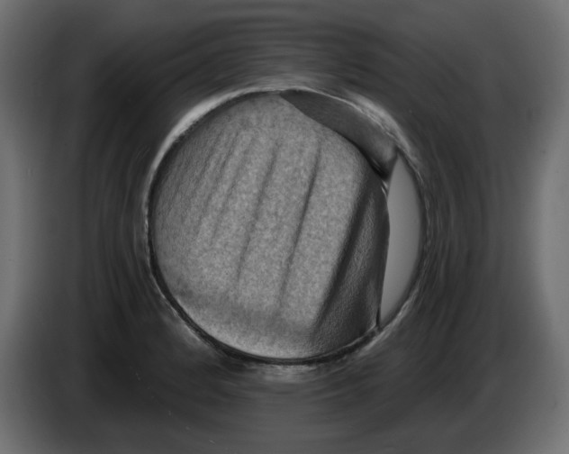 X0000084531184200703231646