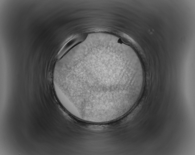 X0000084531185200703231646