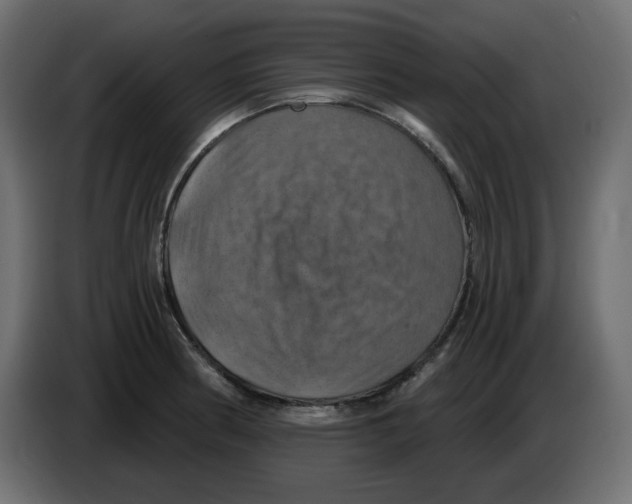 X0000084531186200703231646