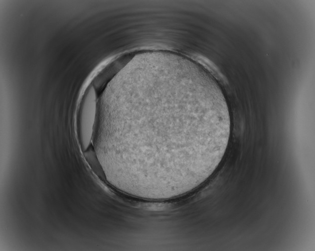 X0000084531188200703231646