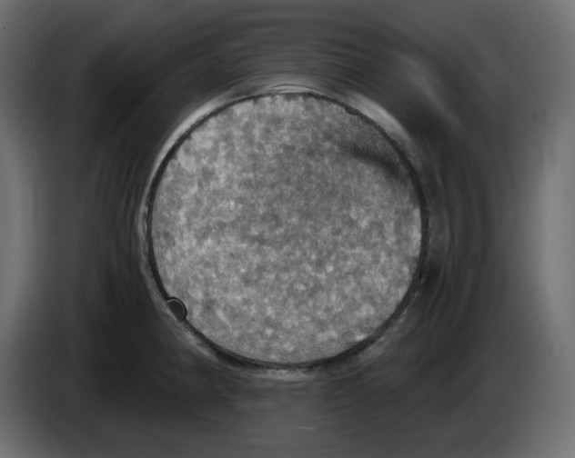 X0000084531190200703231646