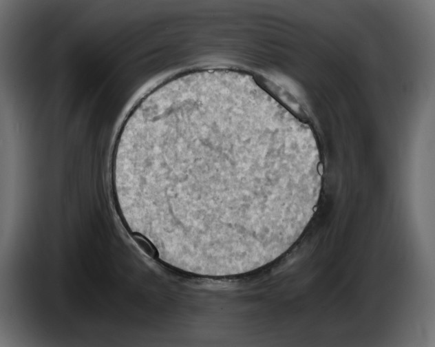 X0000084531191200703231646