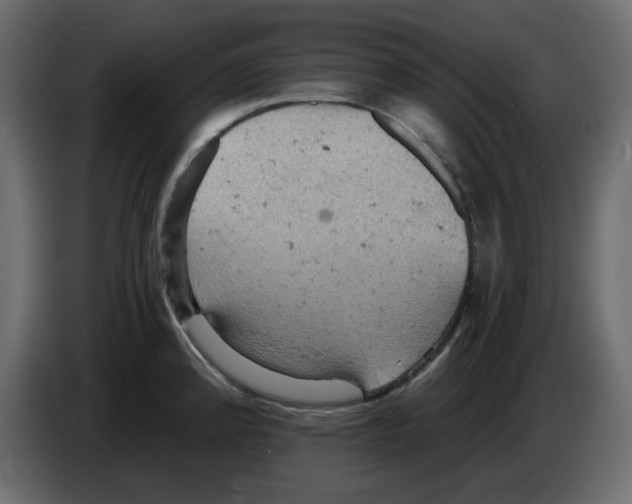 X0000084531192200703231646