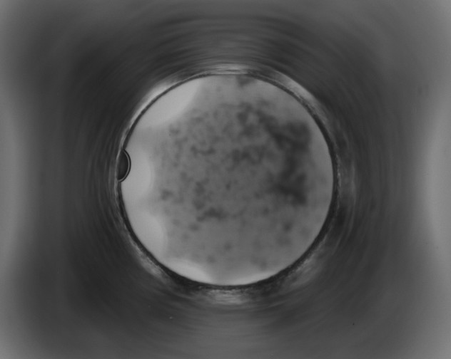 X0000084531194200703231646