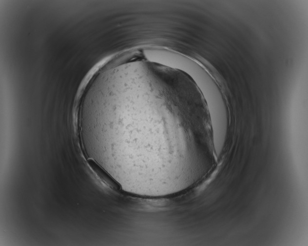 X0000084531196200703231646