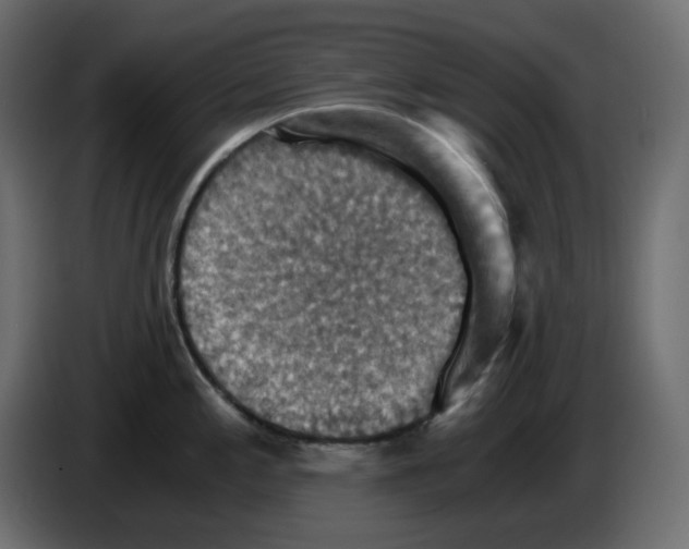 X0000084531197200703231645