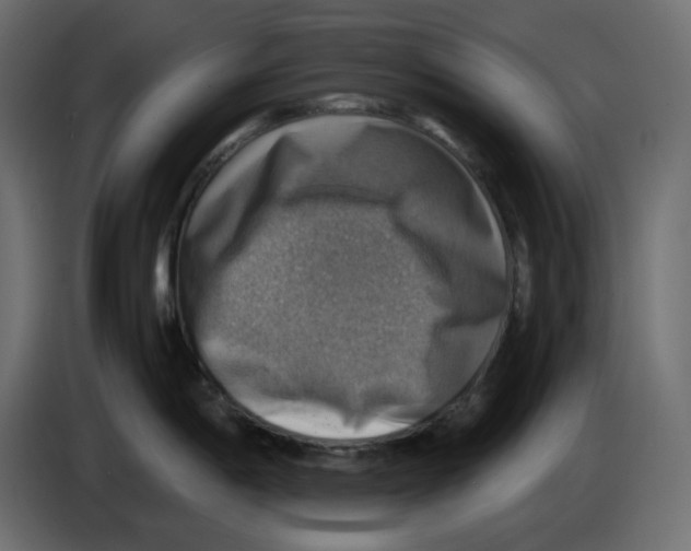 X0000084531198200703231645