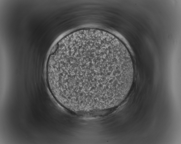 X0000084531199200703231645