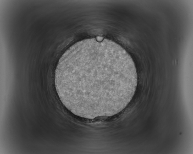 X0000084531201200703231645