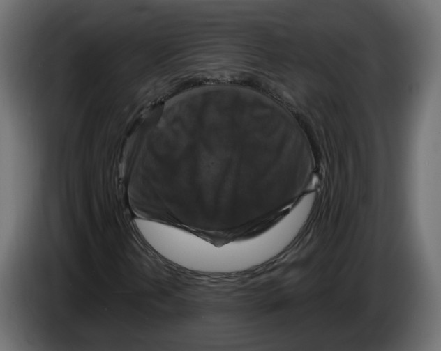 X0000084531202200703231645