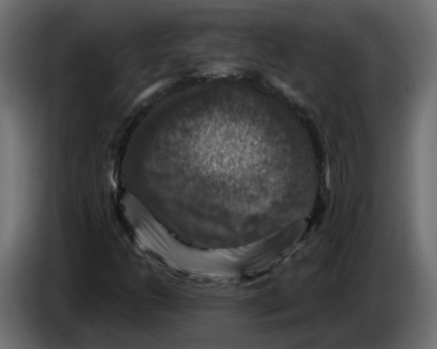 X0000084531206200703231645