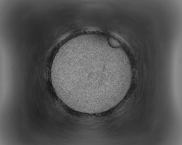X0000084531207200703231645