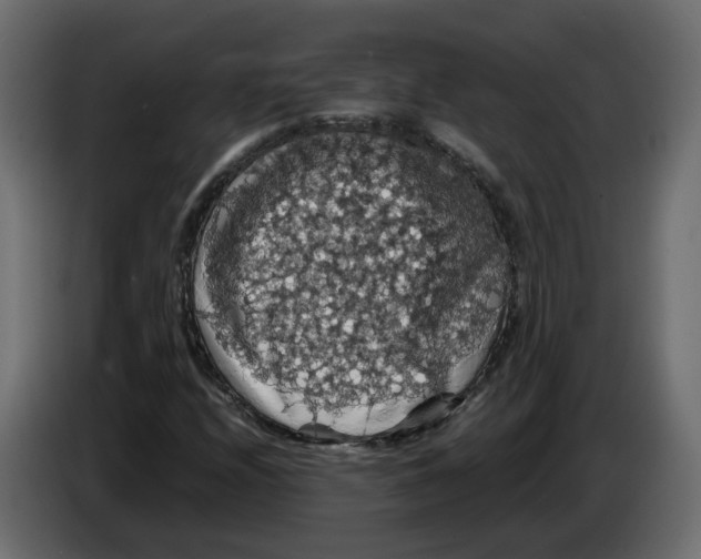 X0000084531208200703231645